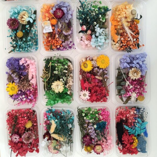 Dried Flowers for Resin Art - Natural Dried Flowers for Crafting, Decoration, Candle Making, Soap Making, Nail Art, Epoxy Resin Projects, Jewelry Making & DIY (Pack of 1, Assorted)