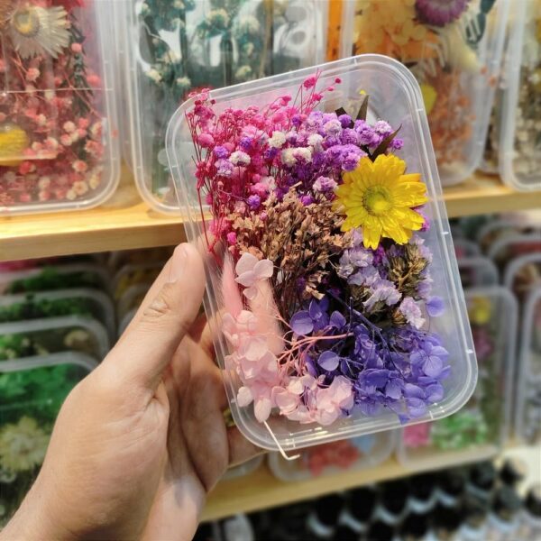 Dried Flowers for Resin Art - Natural Dried Flowers for Crafting, Decoration, Candle Making, Soap Making, Nail Art, Epoxy Resin Projects, Jewelry Making & DIY (Pack of 1, Assorted)