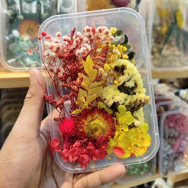 Dried Flowers for Resin Art - Natural Dried Flowers for Crafting, Decoration, Candle Making, Soap Making, Nail Art, Epoxy Resin Projects, Jewelry Making & DIY (Pack of 1, Assorted)